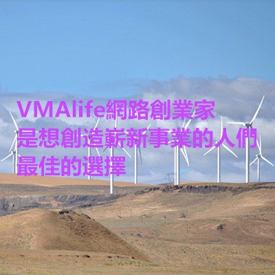 VMAlife網路創業家是想創造嶄新事業的人們最佳的選擇