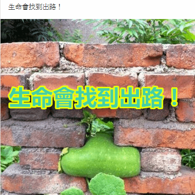 生命會找到出路！