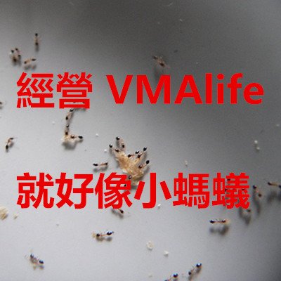 經營 VMAlife 就好像小螞蟻