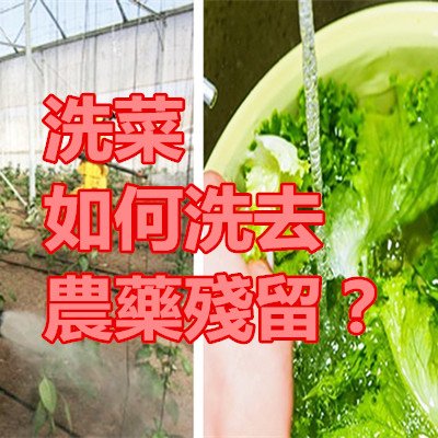 洗菜如何洗去農藥殘留？