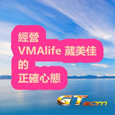 經營 VMAlife 葳美佳 的 正確心態