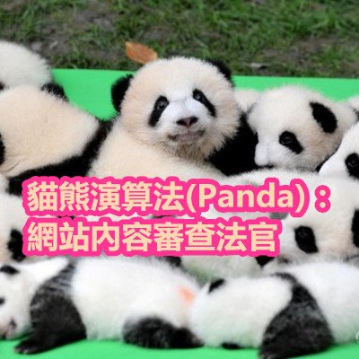 貓熊演算法(Panda)：網站內容審查法官