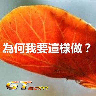 為何我要這樣做？