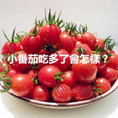 小番茄吃多了會怎樣？.jpg