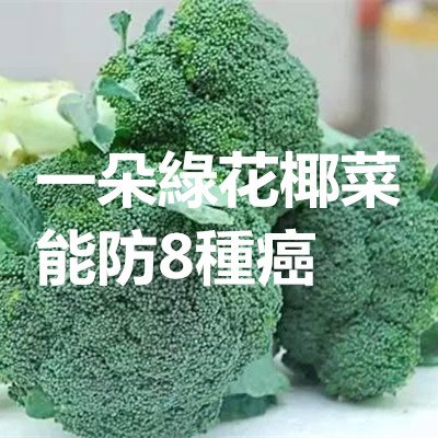 一朵綠花椰菜能防8種癌.jpg