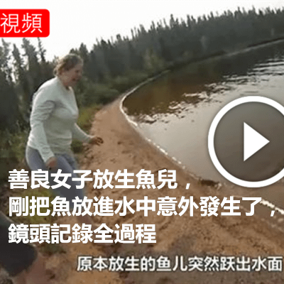 善良女子放生魚兒，剛把魚放進水中意外發生了，鏡頭記錄全過程.png