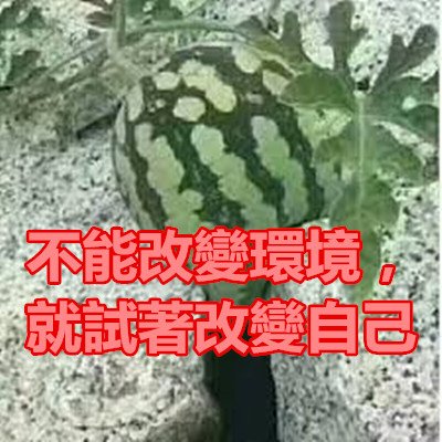 不能改變環境，就試著改變自己.jpg