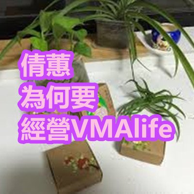 倩蕙 為何要經營VMAlife.jpg