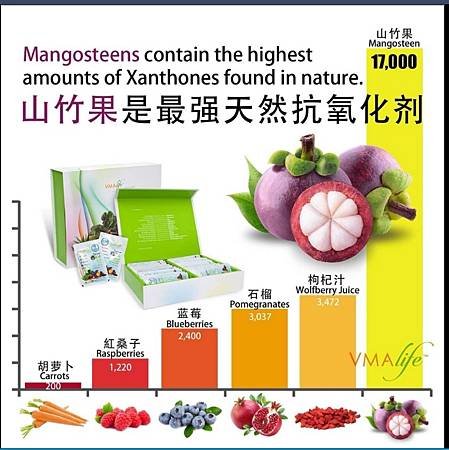 山竹果是最強天然抗氧化劑.jpg