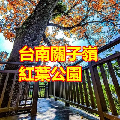 台南關子嶺紅葉公園.jpg