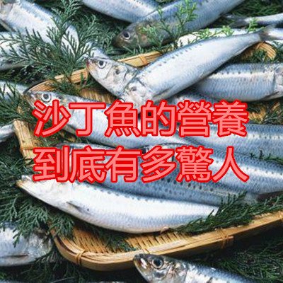 沙丁魚的營養到底有多驚人.jpg