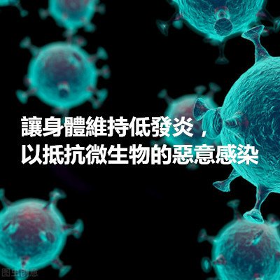 讓身體維持低發炎，以抵抗微生物的惡意感染.jpg