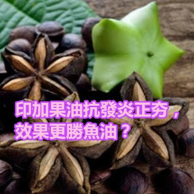 印加果油抗發炎正夯，效果更勝魚油？.jpg