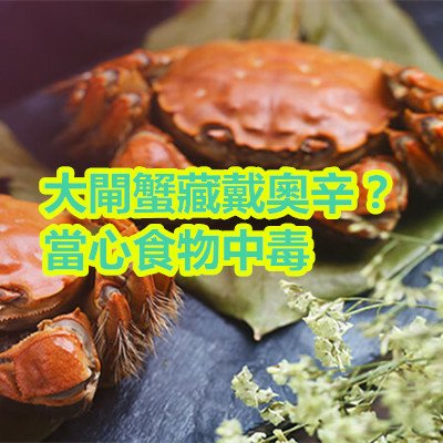 大閘蟹藏戴奧辛？當心食物中毒.jpg