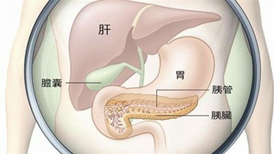 這原因讓肝癌、胰臟癌風險大增！.jpg