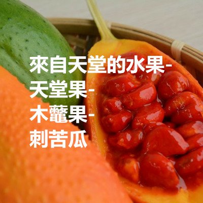 來自天堂的水果-天堂果-木虌果-刺苦瓜.jpg