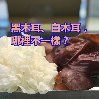 黑木耳、白木耳，哪裡不一樣？.jpg