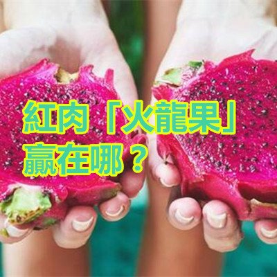 紅肉「火龍果」贏在哪？.jpg