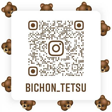 黃鐵熊IG帳號_BICHON_TETSU.jpg