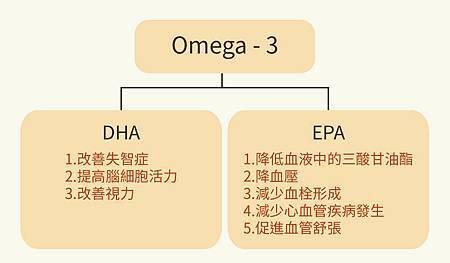 EPA與DHA.jpg