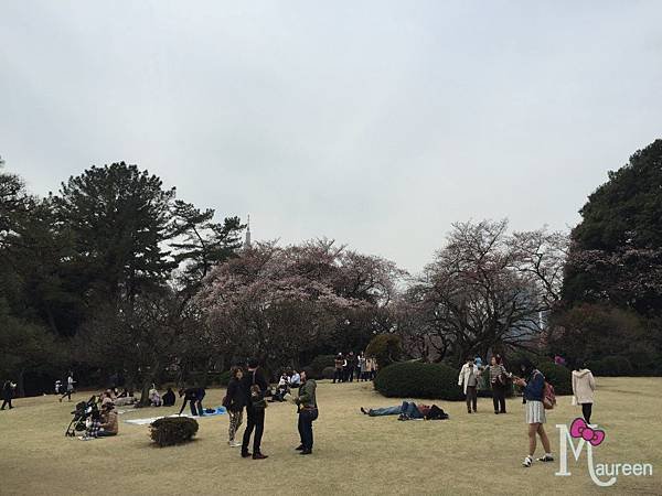新宿御苑11.JPG