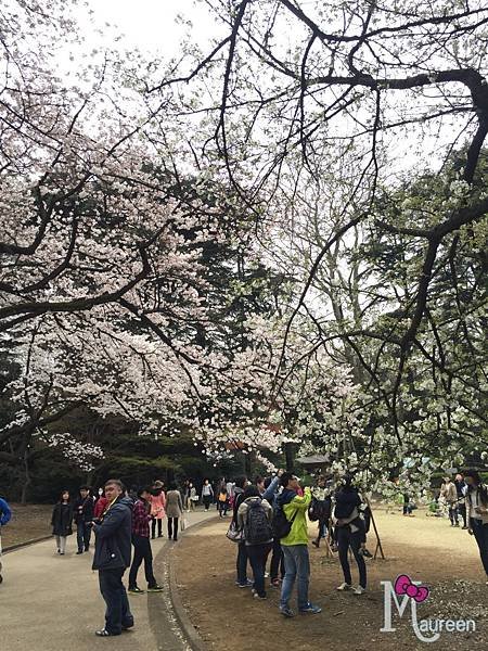 新宿御苑36.JPG
