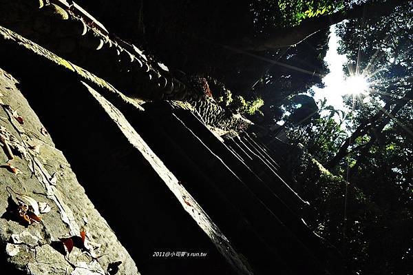 2011小司麥-10北投 (12).JPG