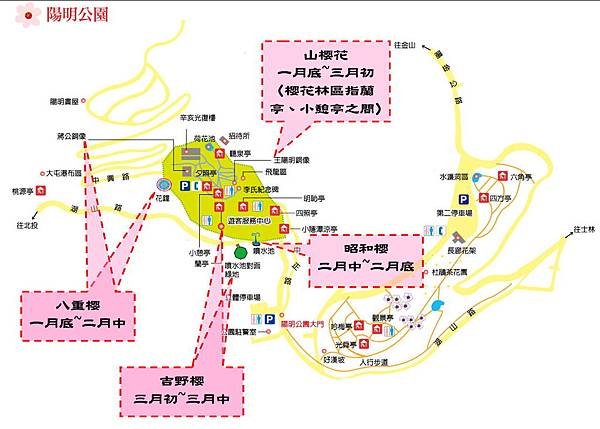 flowersMap.jpg