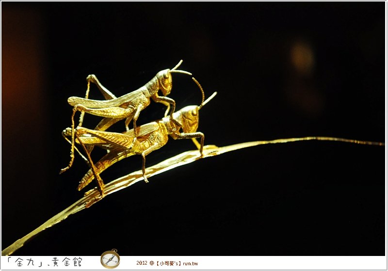 2012小司麥-黃金 (10)