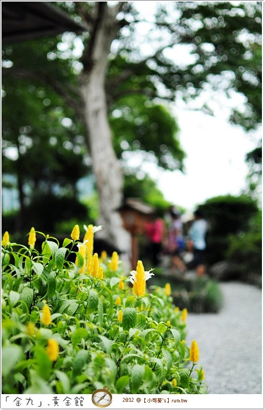 2012小司麥-黃金 (17)