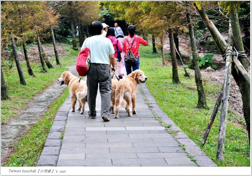 2012小司麥-擎天崗 (11)