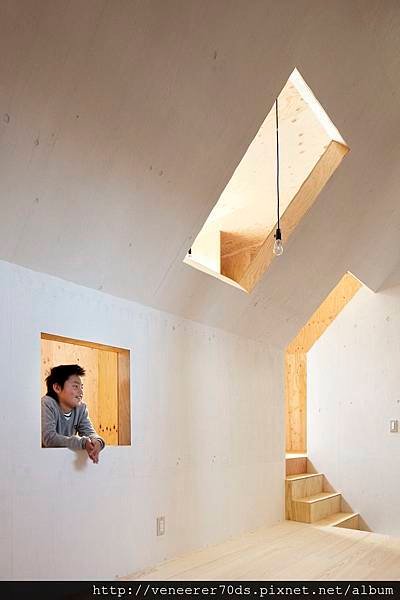 ant-house-7