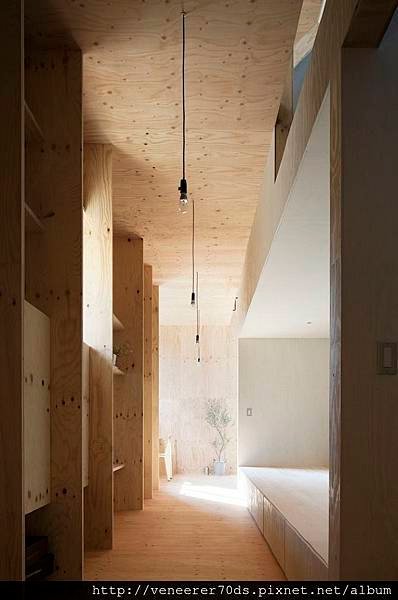 ant-house-12