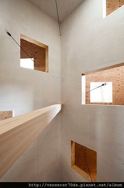 ant-house-9