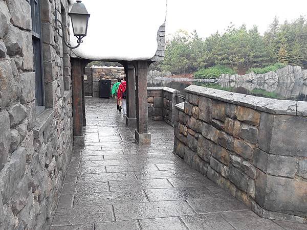 IMG_20151224_091239.jpg
