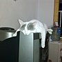 20110601024.jpg