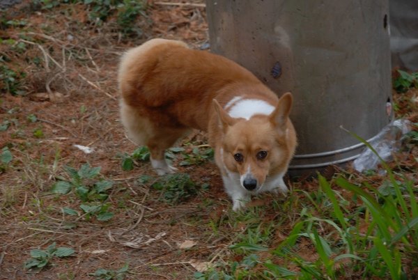 DSC_6205.jpg