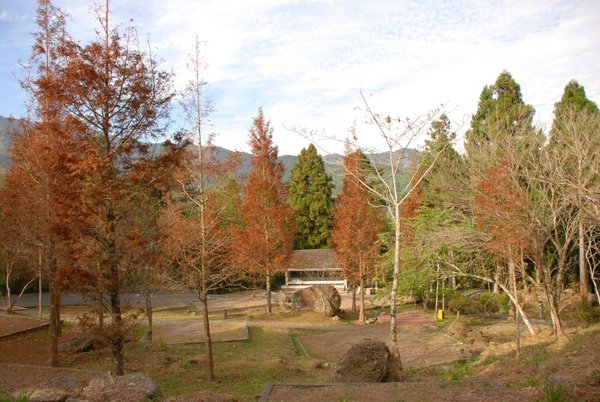 DSC_6242.jpg