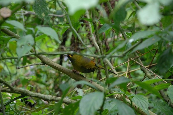 DSC_6346.jpg