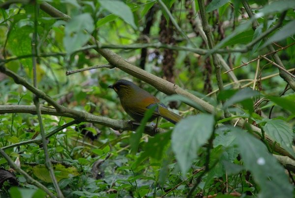 DSC_6348.jpg