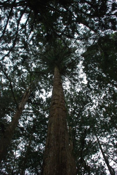 DSC_6400.jpg