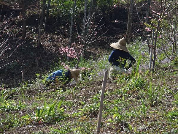 P2160051_調整大小_調整大小