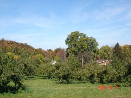 ap03.jpg