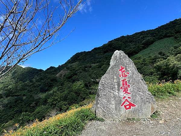 台東 太麻里金針花 小百岳太麻里山 雙乳峰 忘憂谷