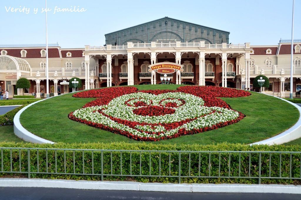 PhotoCap_4.jpg