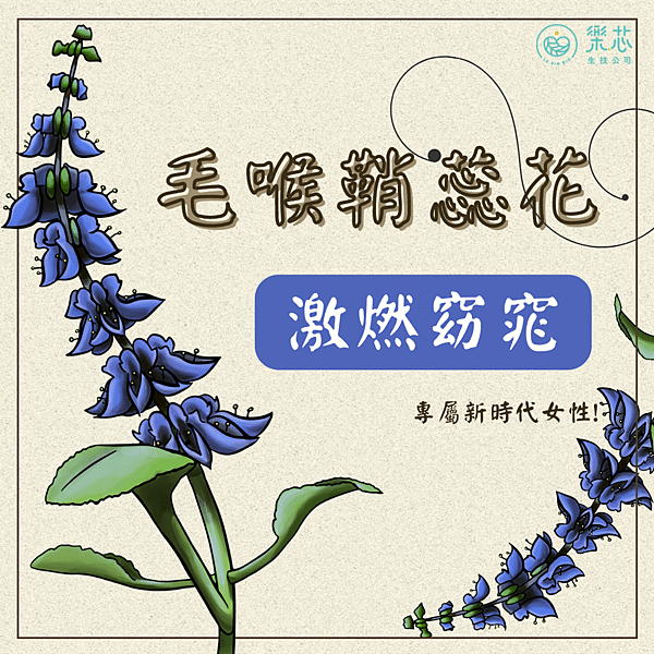 專屬新時代女性的激燃窈窕秘方-毛喉鞘蕊花(含毛喉素)。 (1).png