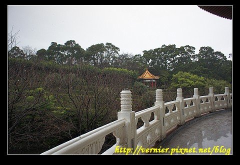從宮殿看出去滿樹待開花苞