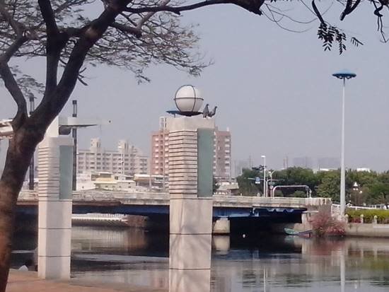 流浪鳥