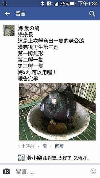 __蝎_001-82.jpg