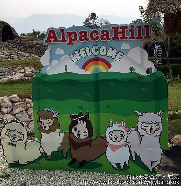 Alpaca Hill-1.jpg